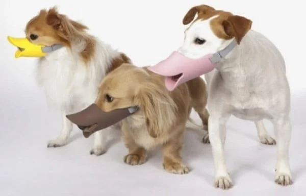 Oppo Dog Muzzle Quack