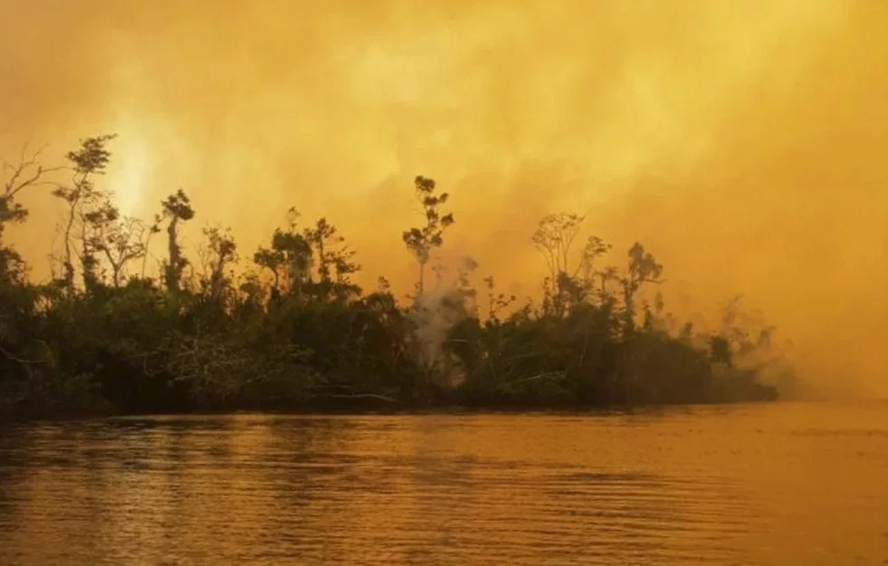 Todo lo que necesitas saber sobre el incendio en Indio Maiz