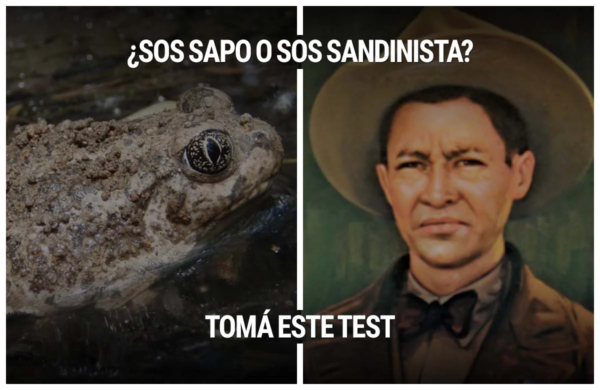 El Test definitivo para saber si sos Sandinista o un simple Sapo