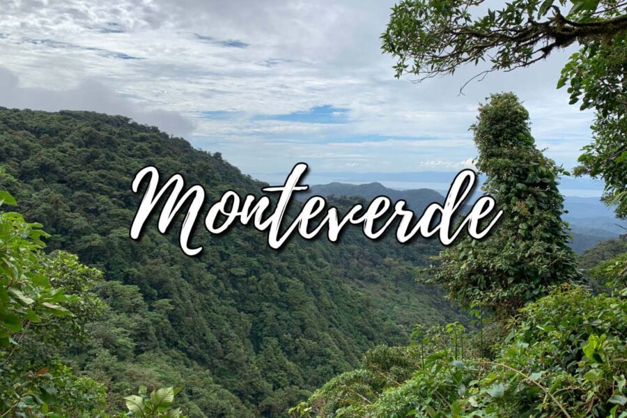 Mi aplicación para participar en Monteverde