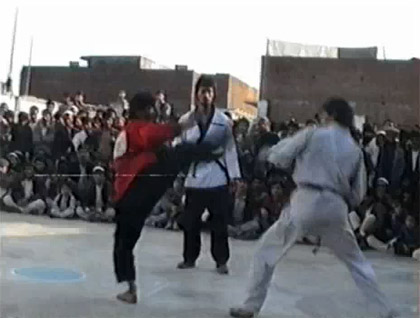 kungfu_taekwondo